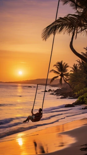 hanging swing,dream beach,hammock,empty swing,tree swing,wooden swing,paraglider sunset,caribbean,golden swing,hammocks,travel insurance,rope swing,tree with swing,hawaii,sunrise beach,beautiful beaches,caribbean beach,the caribbean,dominican republic,hanging chair,Photography,General,Natural