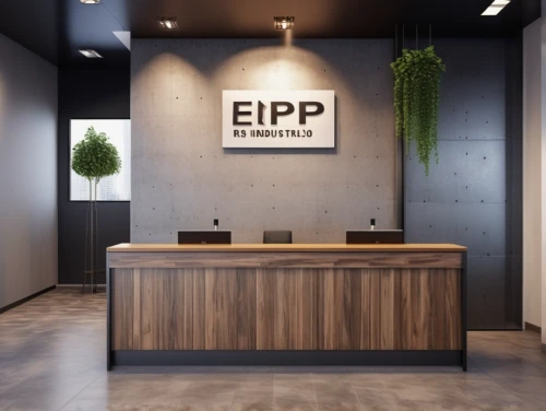 elphi,property exhibition,electronic signage,eap,modern office,electronic payments,edp,wooden mockup,receptionist,emr,estate agent,office automation,espoo,health spa,electrical contractor,electronic payment,electronic medical record,chiropractic,spa,company headquarters,Photography,General,Realistic