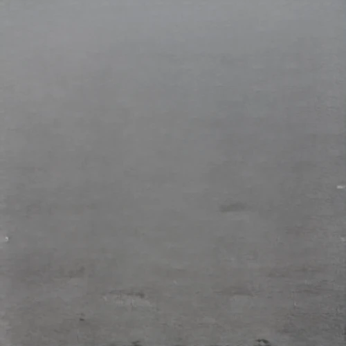tern in mist,grey sea,matruschka,dense fog,ground fog,white space,wind turbines in the fog,white room,fog,veil fog,klaus rinke's time field,sea of fog,love in the mist,the fog,foggy landscape,man at the sea,chalk traces,whitespace,mist,high fog
