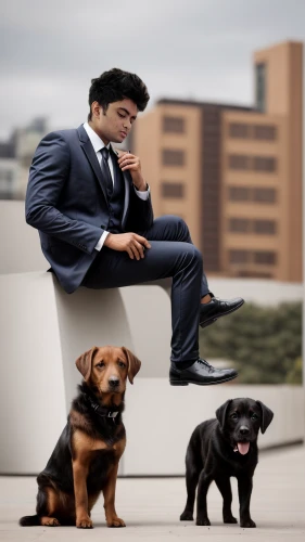 black businessman,image manipulation,ceo,businessman,business icons,dog photography,photomanipulation,photoshop manipulation,businessmen,pet black,gentleman icons,dog-photography,human and animal,financial advisor,boy and dog,two dogs,real estate agent,bakharwal dog,photo manipulation,rottweiler