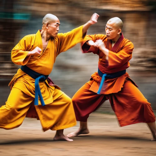 buddhists monks,sambo (martial art),shaolin kung fu,japanese martial arts,baguazhang,monks,vovinam,haidong gumdo,taijiquan,buddhist monk,martial arts,battōjutsu,theravada buddhism,wushu,marine corps martial arts program,sōjutsu,kungfu,shorinji kempo,kung fu,korean culture