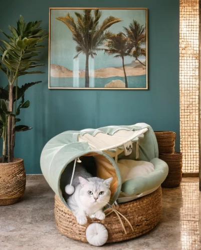 chaise lounge,chaise longue,shabby-chic,bamboo curtain,american shorthair,turquoise wool,palm kitten,shabby chic,sunlounger,sisal,interior decor,cat furniture,beach furniture,interior design,lounger,basket wicker,ceramic floor tile,tropical house,cabana,home accessories