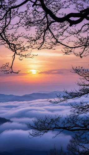 blue ridge mountains,mountain sunrise,japanese mountains,foggy landscape,great smoky mountains,japan landscape,beech mountains,south korea,sea of clouds,beautiful japan,mountain landscape,foggy mountain,mount scenery,beautiful landscape,the chubu sangaku national park,morning mist,fog banks,natural scenery,japan's three great night views,appalachian trail,Photography,General,Realistic