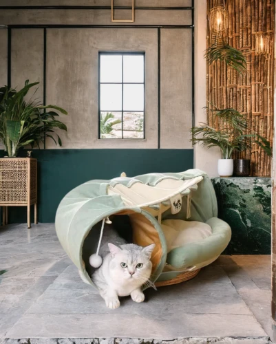 bamboo curtain,cat furniture,modern decor,interior design,airbnb icon,decor,chaise lounge,bamboo car,chaise longue,contemporary decor,cat's cafe,floor lamp,chinese pastoral cat,ceramic floor tile,home accessories,interior decoration,green living,interior decor,interiors,luxury real estate