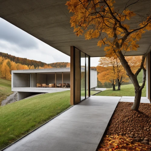 corten steel,exposed concrete,archidaily,modern house,mid century house,dunes house,concrete ceiling,modern architecture,cubic house,ruhl house,concrete slabs,mid century modern,residential house,house in the mountains,frame house,house in mountains,cube house,fall landscape,flat roof,sliding door,Photography,General,Realistic