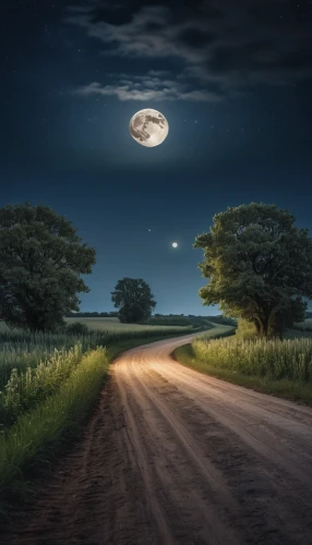 moonlit night,dirt road,country road,long road,the road,winding road,moon photography,moonlit,road forgotten,night highway,straight ahead,winding roads,moonscape,roads,landscape photography,full moon,moonshine,blue moon,road to nowhere,the mystical path,Photography,General,Natural