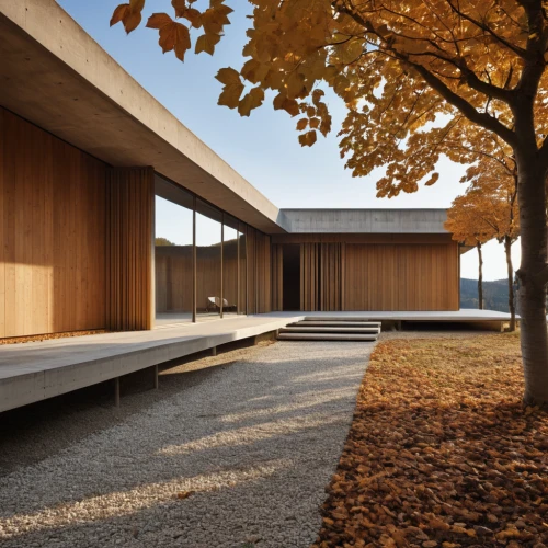 corten steel,archidaily,timber house,dunes house,wooden facade,wooden house,modern house,residential house,modern architecture,daylighting,mid century house,house hevelius,laminated wood,wooden decking,kirrarchitecture,danish house,californian white oak,ash-maple trees,exposed concrete,ruhl house,Photography,General,Realistic