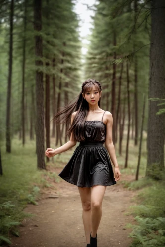 ballerina in the woods,in the forest,social,portrait photography,frolicking,coniferous forest,fusion photography,temperate coniferous forest,queen-elizabeth-forest-park,forest walk,enchanted forest,forest background,faerie,forest of dreams,spruce forest,canon 5d mark ii,redwoods,twirling,passion photography,conceptual photography