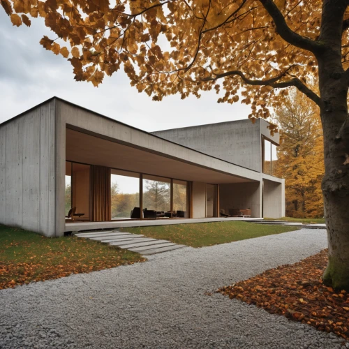 corten steel,modern house,archidaily,timber house,house hevelius,dunes house,residential house,danish house,mid century house,frisian house,frame house,modern architecture,exposed concrete,swiss house,cubic house,exzenterhaus,wooden house,chancellery,house shape,ruhl house,Photography,General,Realistic