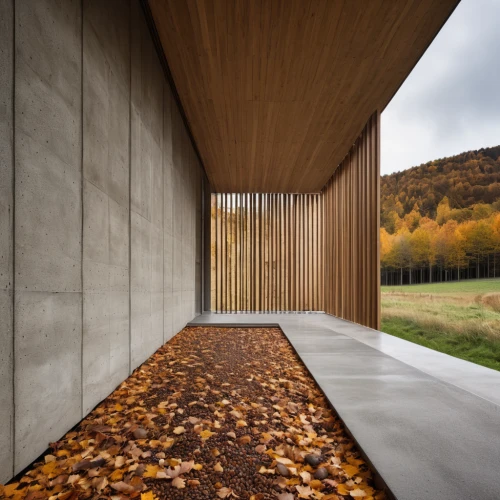 corten steel,wooden wall,wood fence,wooden facade,archidaily,wooden fence,wood and leaf,wooden path,wooden decking,timber house,exposed concrete,wood structure,the threshold of the house,wooden construction,walkway,wooden roof,concrete wall,wooden planks,wooden floor,wooden house,Photography,General,Realistic