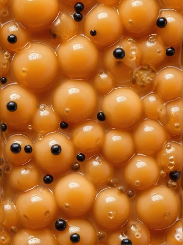 hippophae,sea buckthorn,kumquats,bee eggs,tangerines,apricot kernel,valencia orange,european gooseberries,kumquat,tangerine fruits,goose berries,half orange,gold currant,brown eggs,mandarins,cherry tomatoes,wheatberry,calamondin,johannsi berries,kernels,Photography,General,Realistic