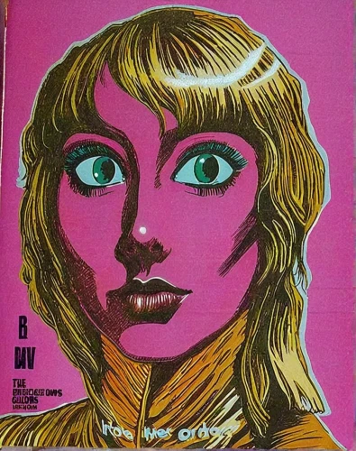 pop art woman,girl-in-pop-art,valerian,popart,pop art girl,italian poster,pink lady,1971,magazine - publication,magazine cover,modern pop art,cover,1967,1973,pop art style,cool pop art,pop art,60s,art book,dune 45,Illustration,American Style,American Style 14