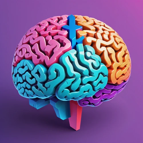 brain icon,brain structure,human brain,brain,cerebrum,3d model,cinema 4d,cognitive psychology,computational thinking,3d render,acetylcholine,brainy,mindmap,neural,mind,3d mockup,3d modeling,dopamine,neurology,3d object,Unique,3D,Isometric