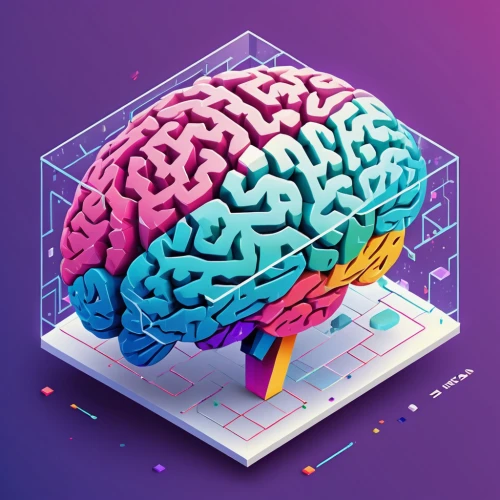 brain icon,brain,brain structure,human brain,computational thinking,mindmap,cerebrum,cognitive psychology,brainstorm,brainy,neural network,artificial intelligence,neural,mind,colorful foil background,brain storming,medical concept poster,smart album machine,trip computer,dimensional,Unique,3D,Isometric