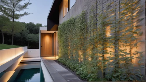 landscape design sydney,garden design sydney,landscape designers sydney,glass wall,corten steel,modern house,glass facade,water wall,modern architecture,private house,bamboo curtain,dunes house,bamboo plants,stucco wall,landscape lighting,cubic house,pool house,residential house,beautiful home,landscaping,Photography,General,Natural