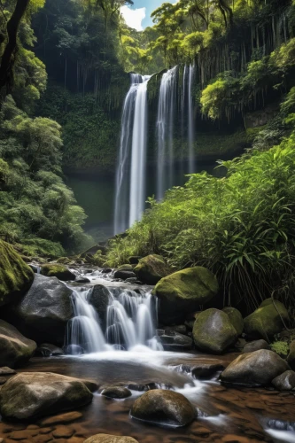 green waterfall,waterfall,a small waterfall,waterfalls,brown waterfall,water falls,water fall,wasserfall,japan landscape,ash falls,bridal veil fall,cascading,mountain spring,flowing water,mountain stream,falls,world digital painting,water flowing,landscape background,water flow,Photography,General,Realistic