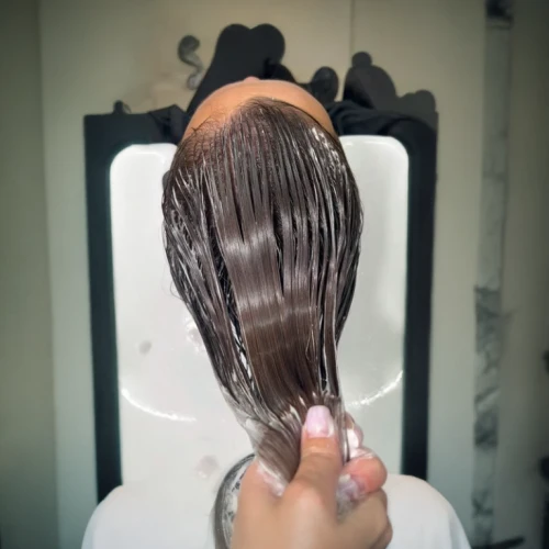 the long-hair cutter,artificial hair integrations,management of hair loss,asian semi-longhair,hair loss,hairstyler,smooth hair,cg,hair shear,oriental longhair,lace wig,british semi-longhair,asymmetric cut,hair iron,hairstylist,hair coloring,layered hair,back of head,hairgrip,stylograph