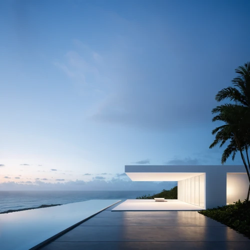 dunes house,modern house,roof landscape,infinity swimming pool,modern architecture,luxury property,beach house,tropical house,holiday villa,pool house,ocean view,house by the water,futuristic architecture,beachhouse,luxury home,contemporary,archidaily,beautiful home,summer house,florida home,Illustration,Vector,Vector 03