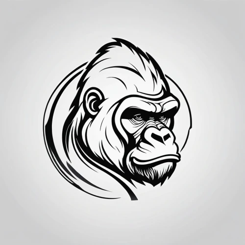 silverback,gorilla,automotive decal,lion white,chimp,lion,ape,tiger png,barong,lion head,chimpanzee,mascot,primate,skeezy lion,kong,mastiff,the monkey,baboon,lion's coach,lion number,Unique,Design,Logo Design