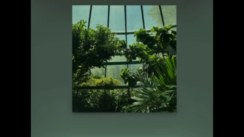 botanical frame,greenhouse cover,greenhouse,hanging plants,aviary,hanging plant,glass window,botanical square frame,conservatory,frame flora,leaves frame,palm house,ivy frame,flower frame,transparent window,tropical house,exotic plants,glass panes,glass pane,window glass