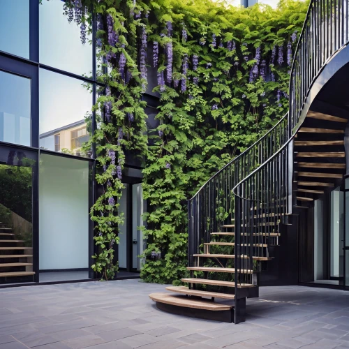 garden design sydney,passion vines,hanging plants,landscape designers sydney,roof garden,intensely green hornbeam wallpaper,grape vine,pergola,climbing garden,landscape design sydney,grape vines,balcony garden,vines,maidenhair tree,block balcony,grapevines,paris balcony,casa fuster hotel,hornbeam hedge,hanging plant