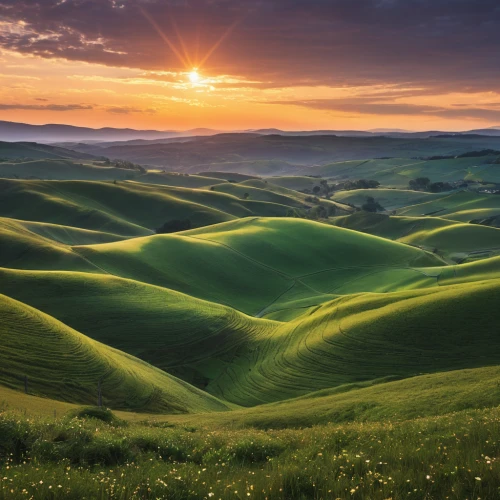 tuscany,rolling hills,tuscan,grasslands,beautiful landscape,green landscape,landscape photography,inner mongolian beauty,the mongolian-russian border mountains,the mongolian and russian border mountains,grassland,landscapes beautiful,green fields,nature landscape,landform,nature of mongolia,natural landscape,landscape nature,green meadow,hills,Photography,General,Realistic