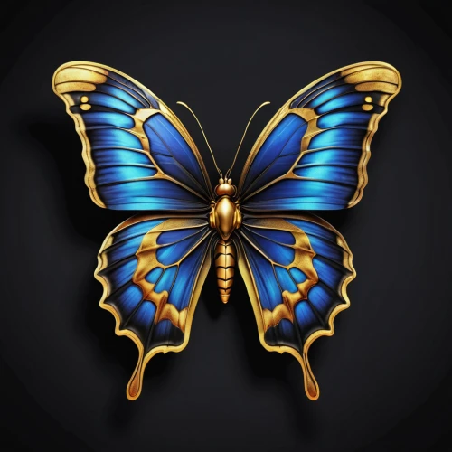 ulysses butterfly,butterfly vector,viceroy (butterfly),hesperia (butterfly),blue butterfly background,cupido (butterfly),butterfly clip art,vanessa (butterfly),butterfly background,french butterfly,morpho butterfly,blue butterfly,morpho,aurora butterfly,c butterfly,gatekeeper (butterfly),butterflay,flutter,butterfly,tropical butterfly,Photography,General,Realistic