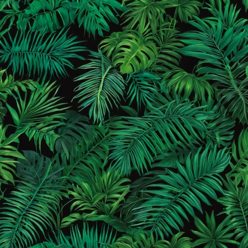 green wallpaper,tropical leaf pattern,tropical floral background,ferns,tropical greens,fern fronds,ostrich fern,tropical digital paper,fern plant,cactus digital background,jungle drum leaves,tropical leaf,foliage leaves,norfolk island pine,palm leaves,pineapple wallpaper,pineapple background,jungle leaf,green foliage,ferns and horsetails,Photography,Documentary Photography,Documentary Photography 09