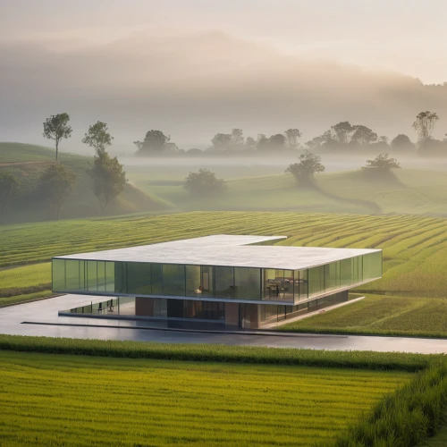 cube house,ricefield,tea plantations,mirror house,home of apple,rice fields,green landscape,the rice field,cooling house,home landscape,tea field,yamada's rice fields,rice field,rice paddies,green fields,grass roof,tea plantation,archidaily,cube stilt houses,beautiful home,Photography,General,Commercial