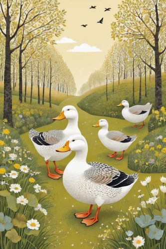 ducks  geese and swans,wild ducks,flower and bird illustration,ducks,geese,greylag geese,ducklings,waterfowl,wild geese,mallards,ornamental duck,waterfowls,duck meet,water fowl,daisy family,tommie crocus,st martin's day goose,migratory birds,goslings,duck females,Illustration,American Style,American Style 04
