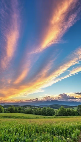 southern wine route,wine country,wine region,castle vineyard,vineyards,shenandoah valley,vineyard,viticulture,normandie region,grape plantation,north yorkshire moors,landscape photography,vermont,martha's vineyard,panoramic landscape,aberdeenshire,south downs,burgundy wine,alentejo,ore mountains,Photography,General,Realistic