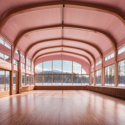 daylighting,hall roof,empty hall,hardwood floors,musical dome,gymnastics room,veranda,concert hall,school design,skating rink,hall of supreme harmony,glass roof,wooden floor,hall,empty interior,ballroom,wood floor,ceiling construction,lecture hall,immenhausen,Photography,General,Realistic