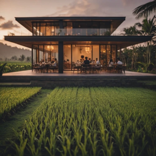 tropical house,beautiful home,home landscape,florida home,dunes house,smart home,modern house,landscape designers sydney,luxury property,bali,house insurance,holiday villa,house by the water,green lawn,smarthome,mid century house,the rice field,cube house,vietnam,luxury home,Photography,General,Cinematic