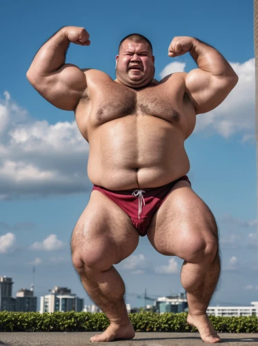 sumo wrestler,strongman,body building,muscle man,bodybuilder,body-building,bodybuilding,crazy bulk,butomus,bodybuilding supplement,weightlifter,fitness model,muscular,anabolic,bulky,big,protein-hlopotun'ja,fat,buy crazy bulk,unit