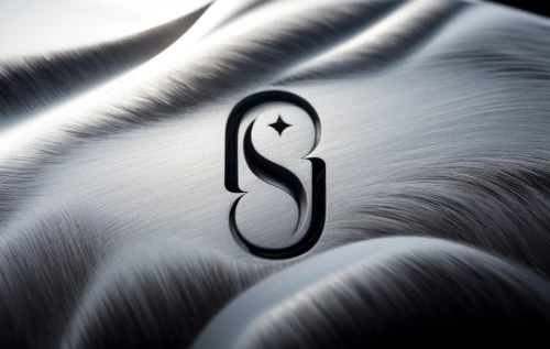 swan feather,letter s,sinuous,swan,rs badge,chrysler 300 letter series,slk,s6,sr badge,slinky,s curve,surfboard fin,swans,silkie,slr,sidewinder,white swan,swirls,mercedes benz sls,sls