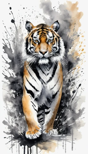 tiger,tiger png,bengal tiger,a tiger,asian tiger,tigers,siberian tiger,tigerle,sumatran tiger,young tiger,white tiger,bengal,tiger head,world digital painting,tiger cub,royal tiger,bengalenuhu,blue tiger,white bengal tiger,chestnut tiger,Illustration,Paper based,Paper Based 25