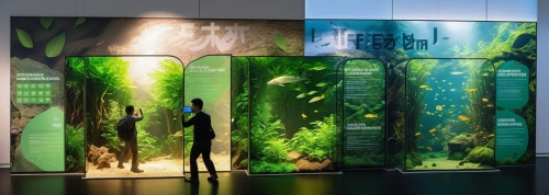 a museum exhibit,exhibit,interactive kiosk,room divider,display panel,aquarium decor,herbarium,artscience museum,glass wall,stage curtain,vitrine,electronic signage,ecological sustainable development,environmental art,aquatic plants,green forest,advertising banners,green trees,california academy of sciences,aquariums,Photography,General,Realistic