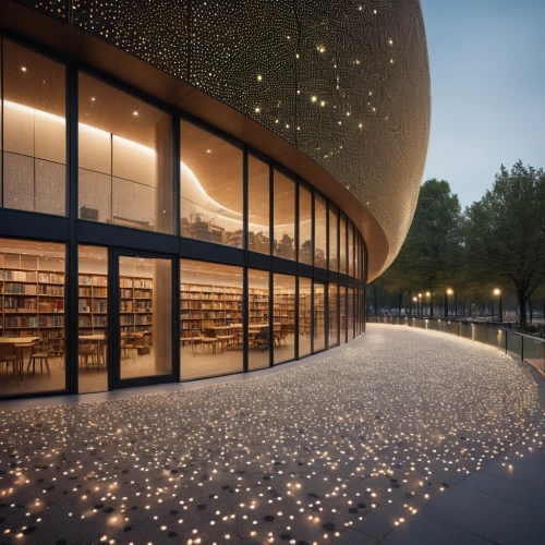 university library,library,reading room,3d rendering,planetarium,bookstore,digitization of library,render,school design,celsus library,book wall,public library,library book,sky space concept,archidaily,bookshelves,futuristic art museum,bookshop,book store,corten steel,Photography,General,Cinematic