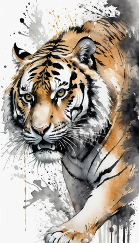 bengal tiger,tiger,a tiger,tiger png,tigers,asian tiger,siberian tiger,white tiger,tigerle,sumatran tiger,young tiger,tiger head,blue tiger,white bengal tiger,bengal,glass painting,chestnut tiger,royal tiger,lion white,tiger cub,Illustration,Paper based,Paper Based 25