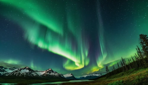 northen lights,norther lights,the northern lights,northern lights,northern light,northen light,auroras,nothern lights,aurora borealis,green aurora,northernlight,polar lights,yukon territory,aurora,borealis,alaska,southern aurora,large aurora butterfly,boreal,canadian rockies,Photography,General,Realistic