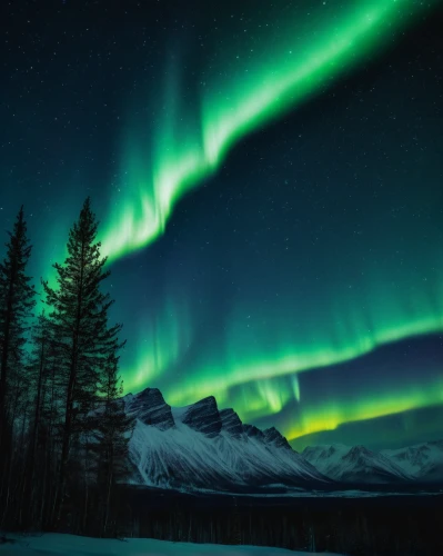 northen lights,norther lights,northern lights,the northern lights,northern light,nothern lights,aurora borealis,auroras,green aurora,polar lights,northen light,northernlight,aurora,borealis,southern aurora,aurora colors,boreal,polar aurora,yukon territory,canadian rockies,Photography,General,Fantasy