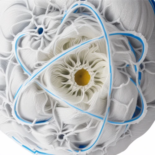 fabric flower,fabric flowers,cotton boll,blue chrysanthemum,the white chrysanthemum,white chrysanthemum,paper roses,paper ball,stitched flower,paper flowers,celestial chrysanthemum,paper flower background,spirograph,yarn,plastic flower,fabric roses,chrysanthemum,flowers png,cotton swab,connective tissue