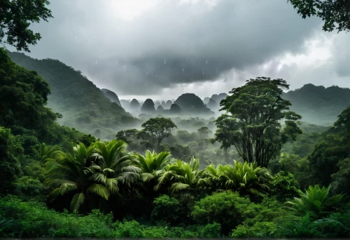 karst landscape,tropical and subtropical coniferous forests,rain forest,valdivian temperate rain forest,rainforest,vietnam,tropical jungle,tropical greens,green landscape,kangkong,borneo,landscape background,southeast asia,nature landscape,viñales valley,mountainous landscape,karst area,background view nature,natural landscape,aaa