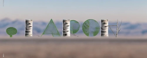 long grass,plantago,landscape background,algae,longoog,arid landscape,virtual landscape,trees with stitching,altiplano,larch forests,eco,cactus digital background,arid land,typography,larch,alphabet letter,birch tree background,smog,organ pipe cactus,cacti,Material,Material,Birch