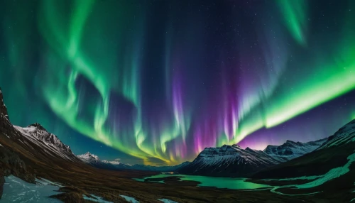 northen lights,norther lights,auroras,the northern lights,northern lights,northern light,nothern lights,green aurora,northen light,aurora borealis,aurora,large aurora butterfly,northernlight,aurora butterfly,borealis,polar lights,northern norway,aurora from marmolada,polar aurora,aurora colors,Photography,General,Natural