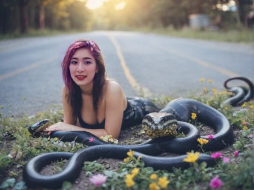 snakebite,serpent,anaconda,snake charming,snake charmers,tentacle,venomous,snake kawaii,milksnake,rapunzel,venomous snake,lei,social,silphie,kingsnake,choke snake,boa constrictor,constrictor,snake,snakes