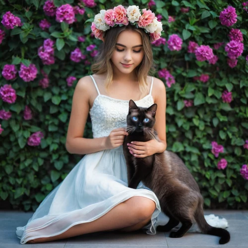 beautiful girl with flowers,holding flowers,social,girl with dog,flower crown,cat lovers,flower girl,flower cat,cute cat,pet black,girl in flowers,with roses,flower animal,blossom kitten,dog and cat,cat ears,kittens,flower hat,two cats,cat love,Photography,Documentary Photography,Documentary Photography 14