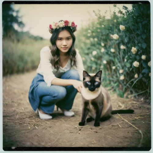 vintage cat,lubitel 2,vintage girl,vintage cats,vintage woman,vintage asian,vintage female portrait,vietnamese woman,audrey hepburn-hollywood,jean simmons-hollywood,vintage women,calico cat,girl with dog,vintage girls,vintage boy and girl,audrey hepburn,agfa,retro women,vintage flowers,retro woman,Photography,Documentary Photography,Documentary Photography 03