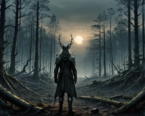 forest man,forest background,forest dark,the wanderer,hooded man,the forest,cd cover,fantasy picture,the woods,woodsman,the night of kupala,elven forest,lone warrior,game illustration,wanderer,heroic fantasy,slender,background image,gamekeeper,the forests,Conceptual Art,Fantasy,Fantasy 33