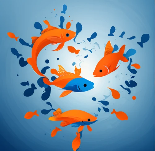 koi fish,school of fish,ornamental fish,koi carp,fishes,fish in water,koi carps,koi,aquatic animals,two fish,goldfish,fish collage,koi pond,blue fish,aquarium inhabitants,fighting fish,feeder fish,underwater fish,vector graphics,fish supply,Unique,Design,Logo Design